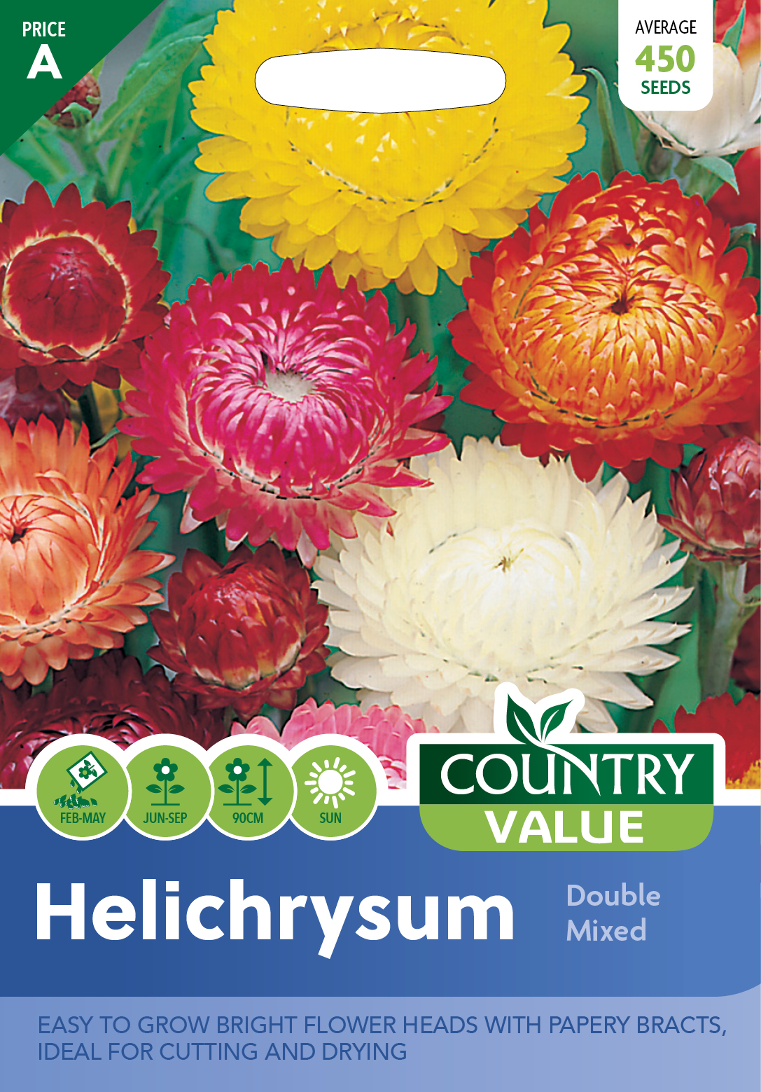 Helichrysum Double Mixed